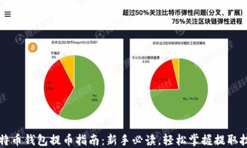 
比特币钱包提币指南：新手必读，轻松掌握提取技巧