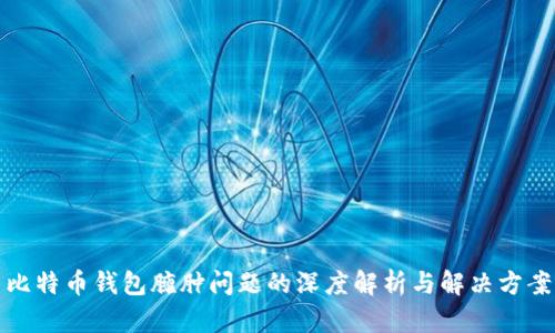 比特币钱包臃肿问题的深度解析与解决方案