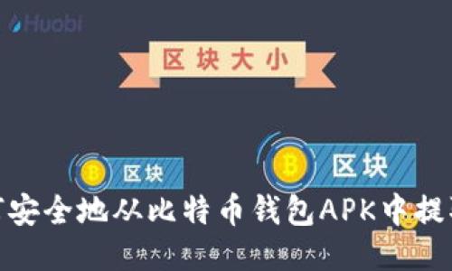 : 如何安全地从比特币钱包APK中提取私钥