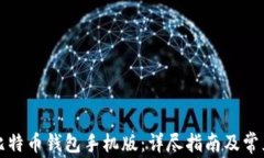 如何下载比特币钱包手机版：详尽指南及常见问