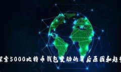 探索5000比特币钱包变动的背后原因和趋势