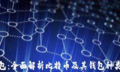 数字货币钱包：全面解析比特币及其钱包种类与
