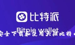 如何安全下载和使用大陆比特币钱包