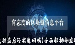 TP钱包被盗后还能追回吗？全面解析与应对措施