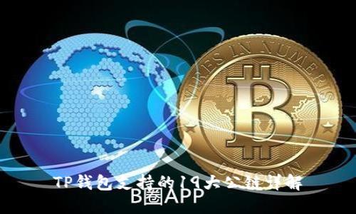 TP钱包支持的19大公链详解
