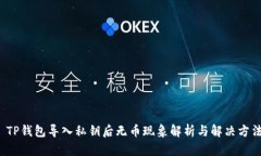  TP钱包导入私钥后无币现象解析与解决方法