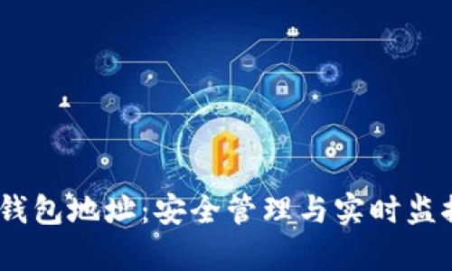 USDT观察钱包地址：安全管理与实时监控全面指南