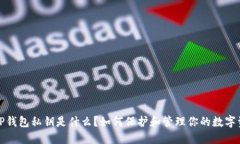 : TP钱包私钥是什么？如何保护和管理你的数字资