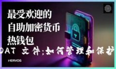 比特币钱包 DAT 文件：如何管理和保护你的数字资