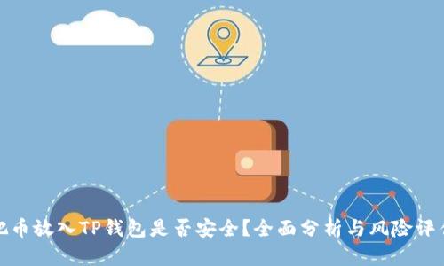 把币放入TP钱包是否安全？全面分析与风险评估