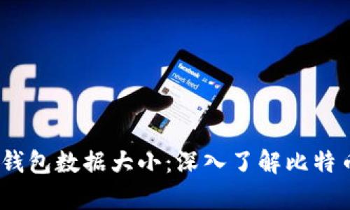 11年比特币钱包数据大小：深入了解比特币存储与管理