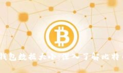 11年比特币钱包数据大小：深入了解比特币存储与