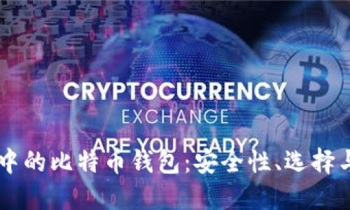 币币交易中的比特币钱包：安全性、选择与使用指南