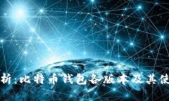 全面解析：比特币钱包各版本及其使用指南