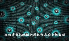 比特币钱包地址的持久性与安全性解析
