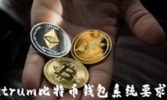 Electrum比特币钱包系统要求详解