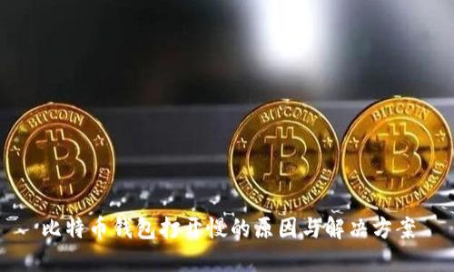 比特币钱包打开慢的原因与解决方案