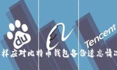 怎样应对比特币钱包备份遗忘情况？