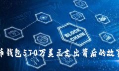 : 揭秘比特币钱包570万美元支出背后的故事与未来