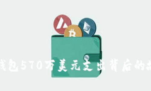 : 揭秘比特币钱包570万美元支出背后的故事与未来展望