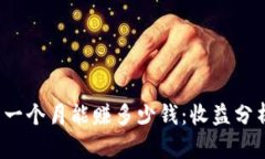探讨T P钱包一个月能赚多少钱：收益分析与投资