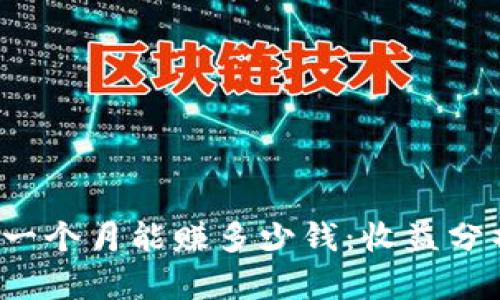 探讨T P钱包一个月能赚多少钱：收益分析与投资策略