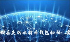如何找回丢失的比特币钱包秘码: 实用指南