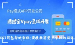 USDT钱包即时到账：便捷数字资产管理的新选择