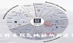 全面解析比特币钱包地址的固定性及其影响