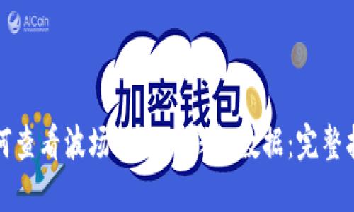如何查看波场公链TP钱包数据：完整指南