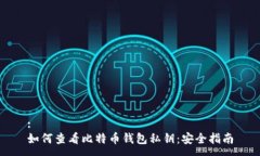 :如何查看比特币钱包私钥：安全指南