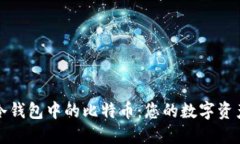如何发现冷钱包中的比特币：您的数字资产管理