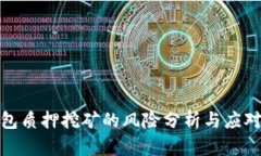 TP钱包质押挖矿的风险分析与应对策略