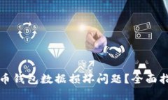 如何解决比特币钱包数据损坏问题？全面指南与
