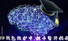 TP钱包维护中，提币暂停指南