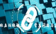 USDT转账未到账解决方案：常见问题与应对策略