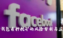 TP钱包质押挖矿的风险分析与应对