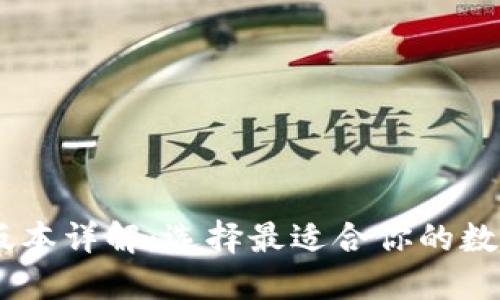 USDT钱包版本详解：选择最适合你的数字货币钱包