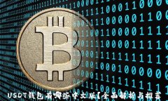 USDT钱包有哪些中文版？全面解析与推荐